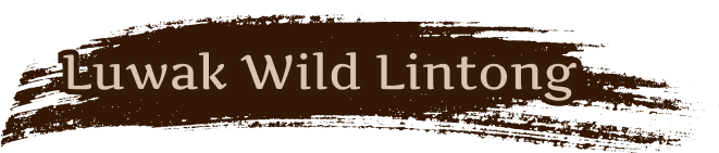 luwak wild lintong